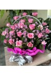 နှင်းဆီပန်း ပန်းခြင်း Fresh Flower Basket with roses and some seasonal leaves FBK102